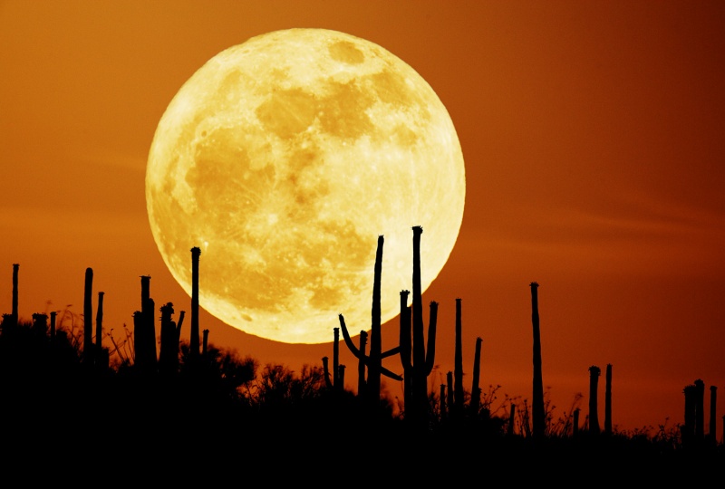Moon Light alsunna.org (7)
